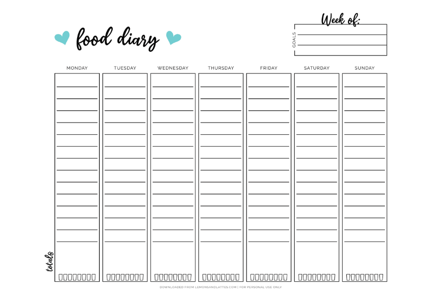 daily food intake chart template