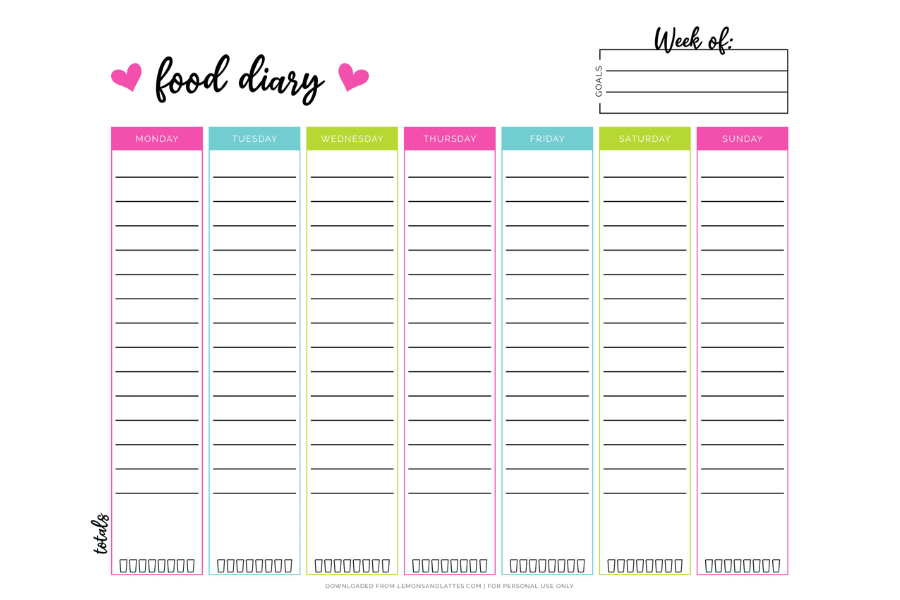 daily food intake chart template