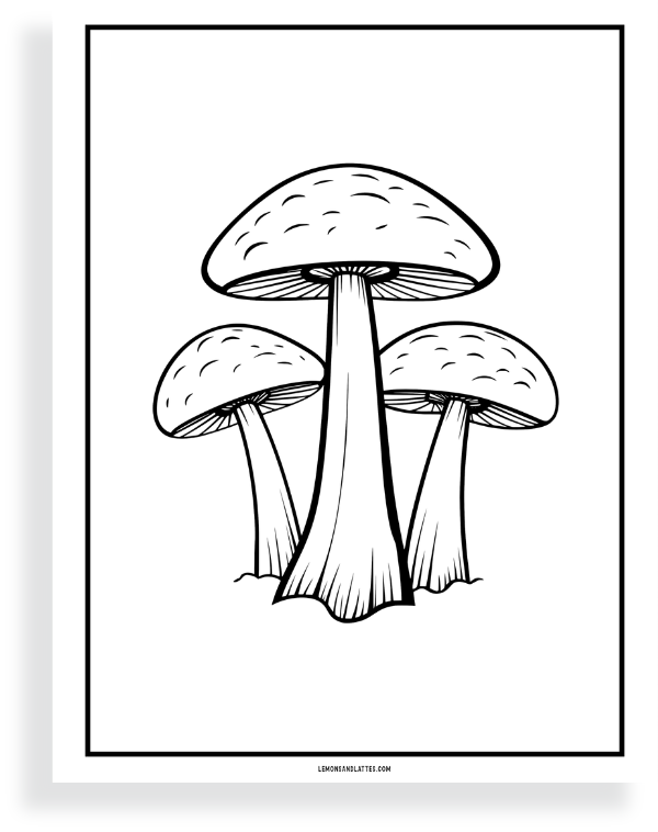 simple mushroom coloring page