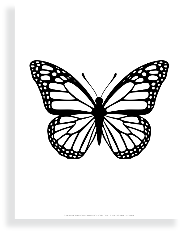 realistic butterfly template