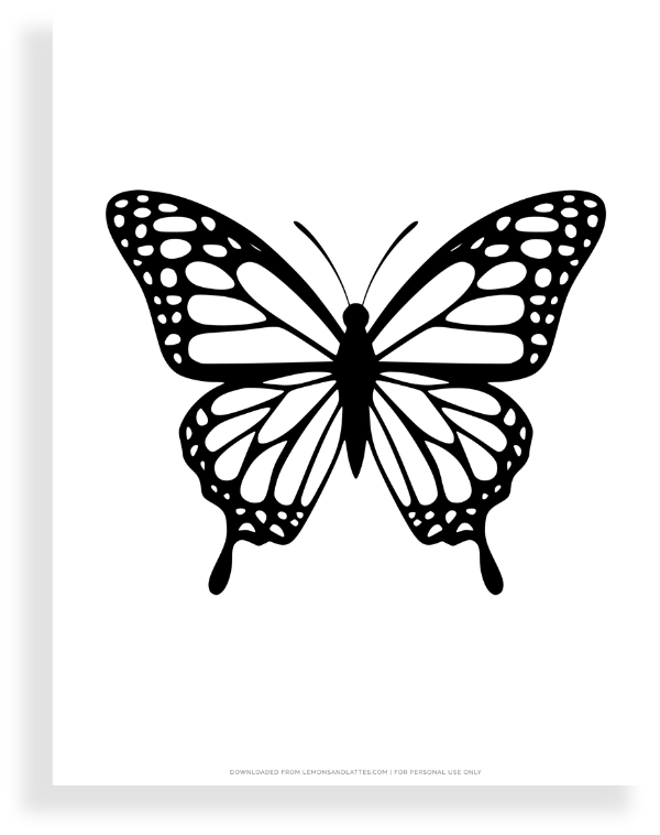 realistic butterfly template